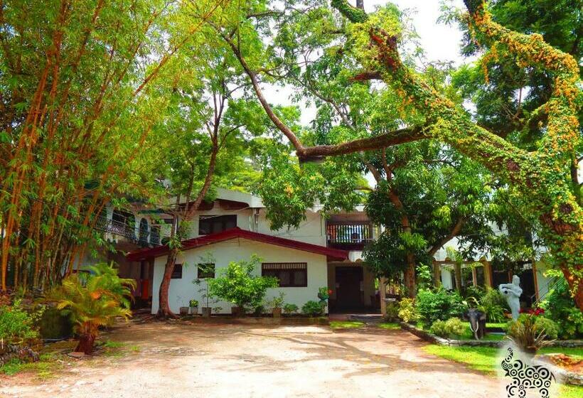 膳宿费 Saranga Holiday Inn