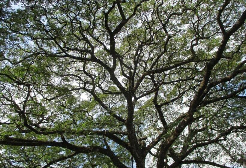 膳宿费 Saranga Holiday Inn