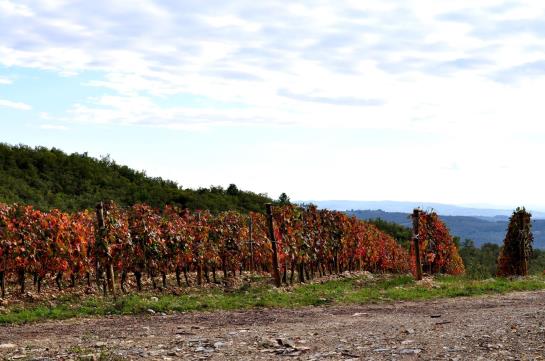 Bed and Breakfast Castellare De Noveschi Resort