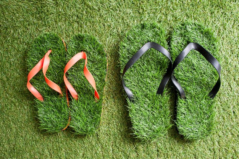 ベッドアンドブレックファースト Guesthouse O Affittacamere Irooms Pantheon