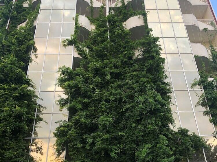 בית מלון כפרי Grand  Uyut