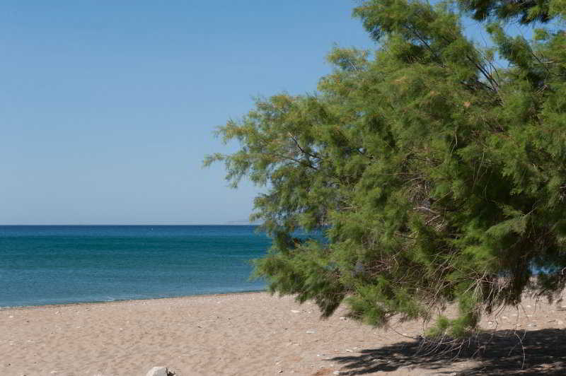 호텔 Aphrodite Samos Suites