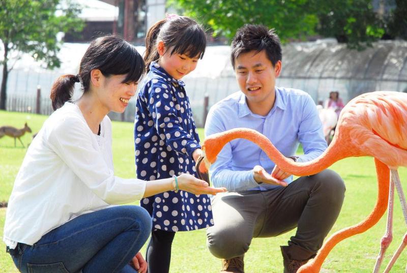 Отель Aso Farm Land