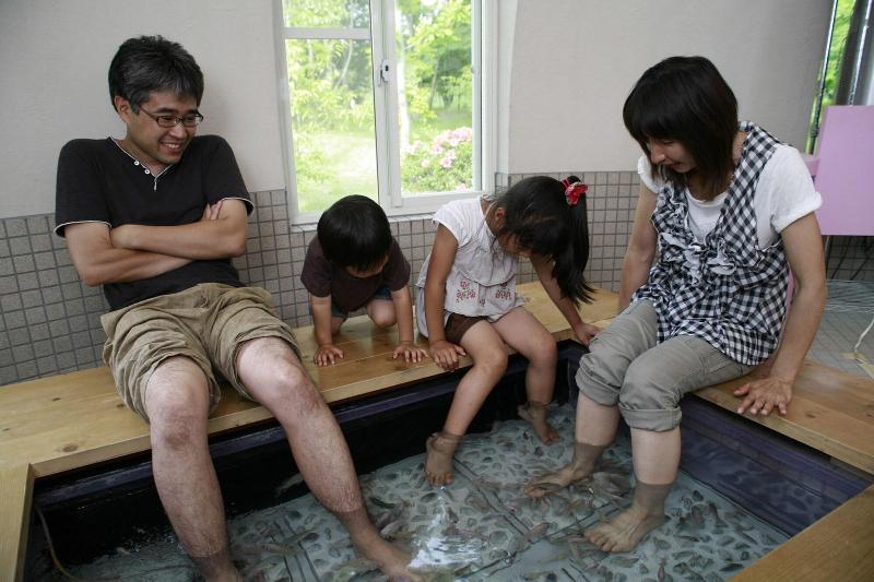 Отель Aso Farm Land