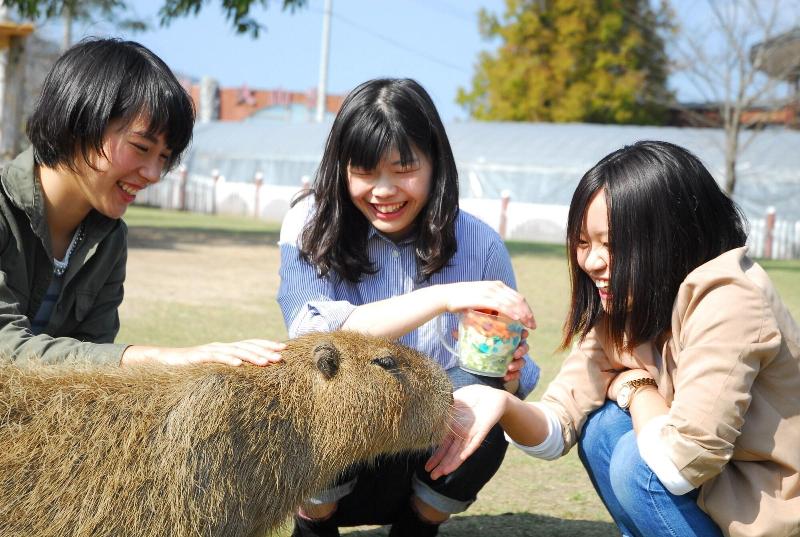 Отель Aso Farm Land