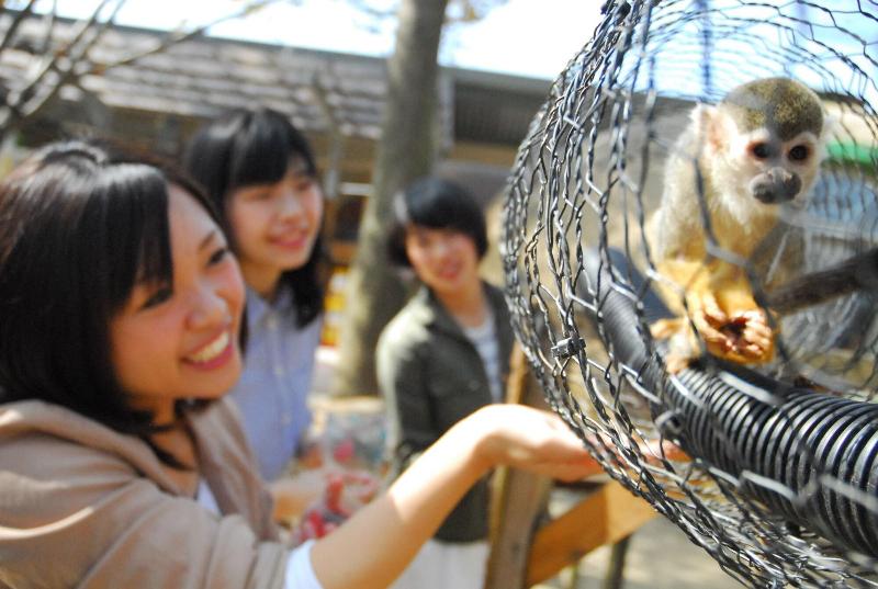 Отель Aso Farm Land