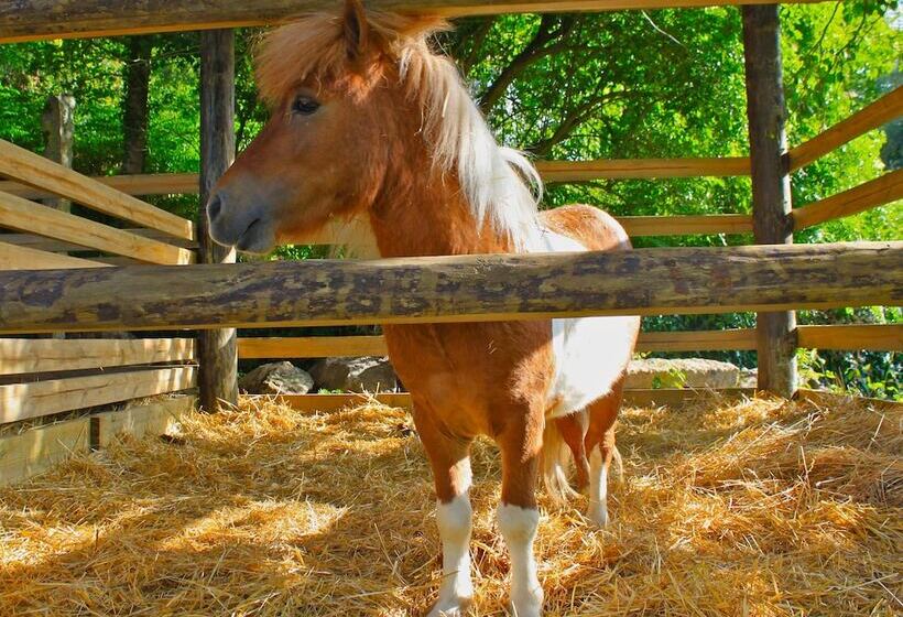 Carmo S Boutique Hotel   Small Luxury Hotels Of The World