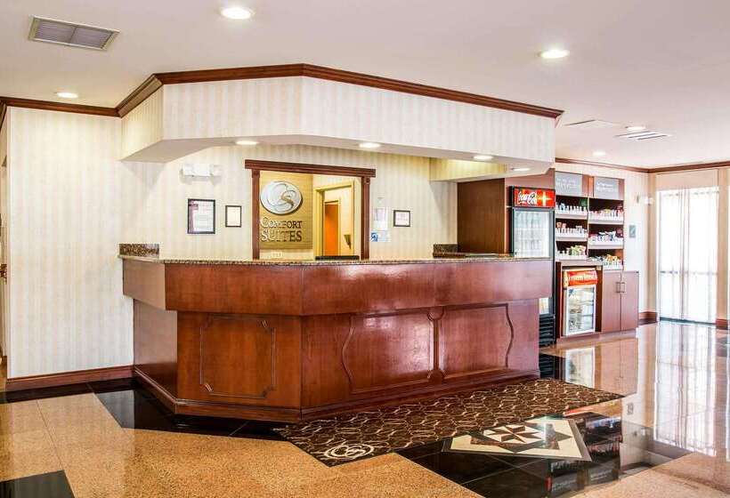 酒店 Comfort Suites