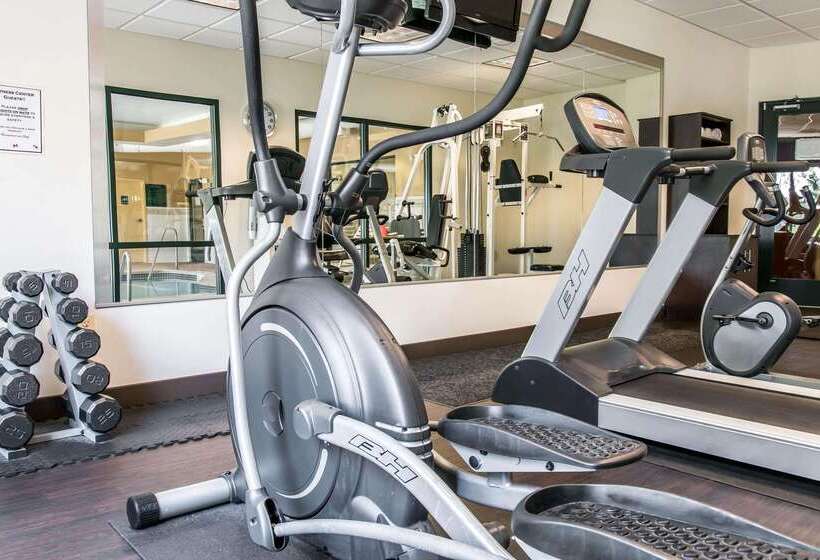 酒店 Comfort Suites