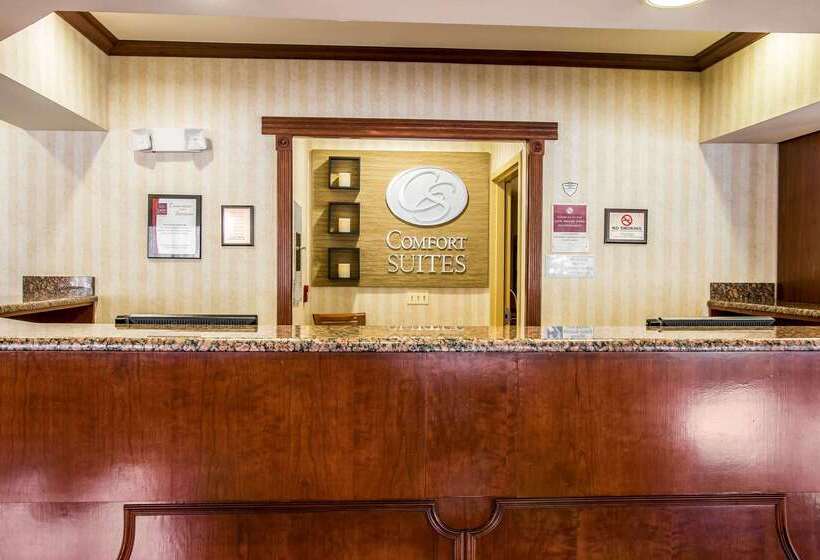 酒店 Comfort Suites
