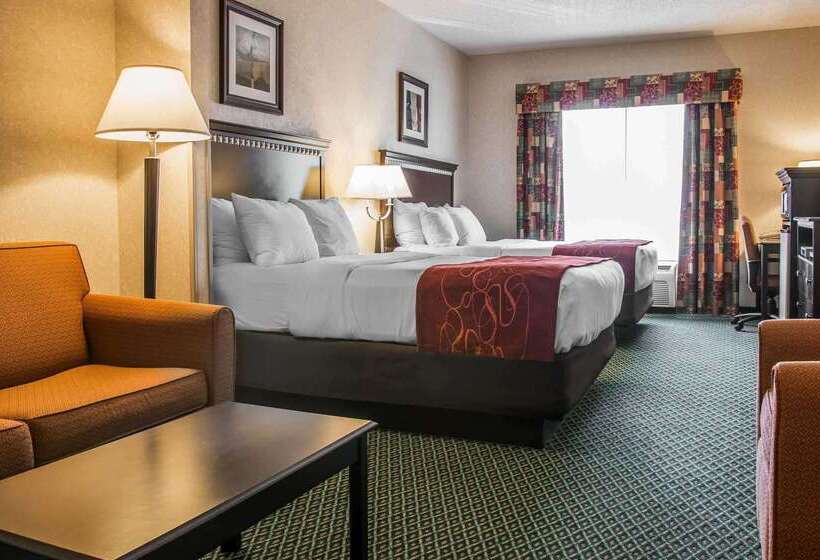 酒店 Comfort Suites