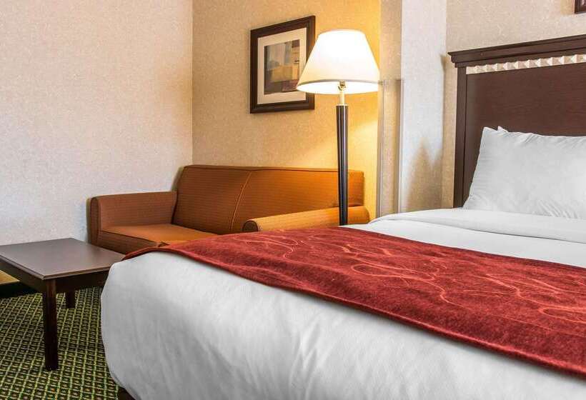 酒店 Comfort Suites