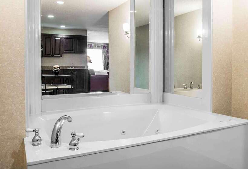 酒店 Comfort Suites