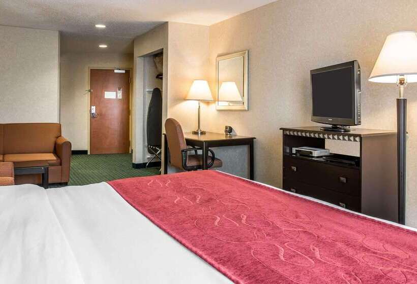 酒店 Comfort Suites