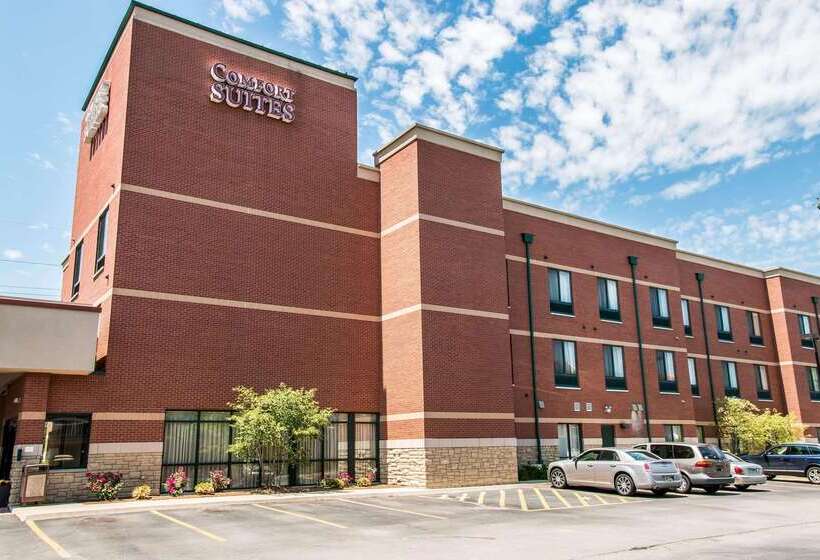 酒店 Comfort Suites