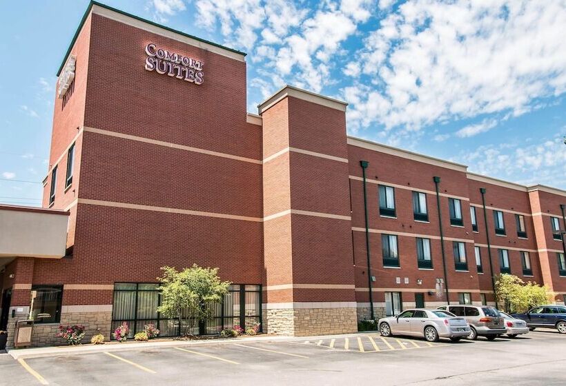 酒店 Comfort Suites