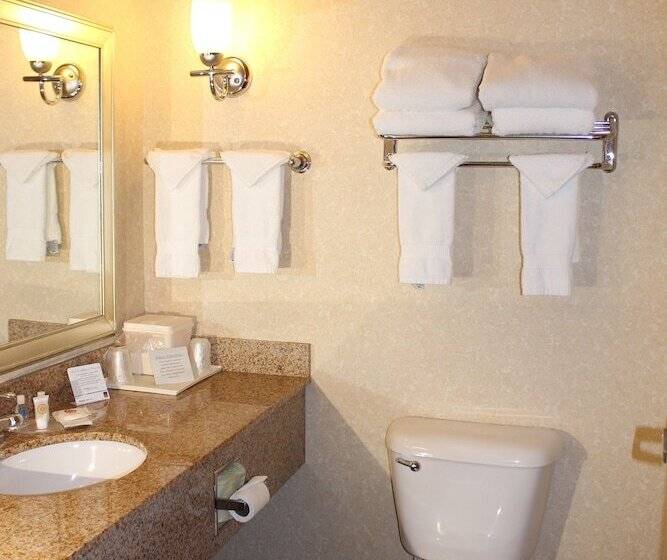 酒店 Comfort Suites