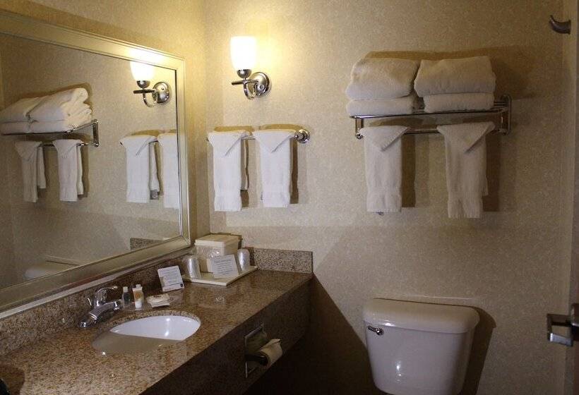 酒店 Comfort Suites