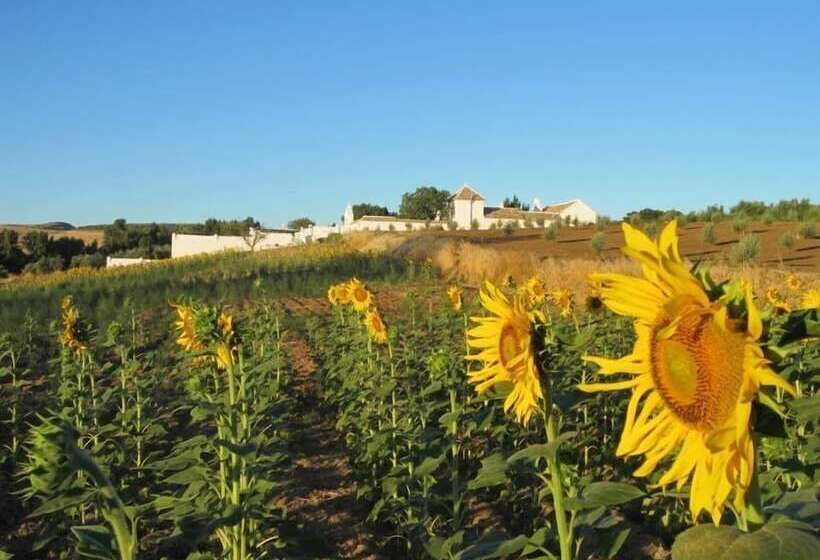 בית מלון כפרי Cortijo El Guarda