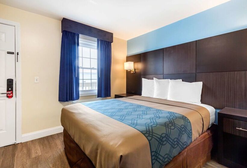 酒店 Econo Lodge By Choice Cape Cod