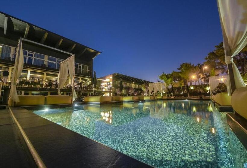 فندق Evidencia Belverde