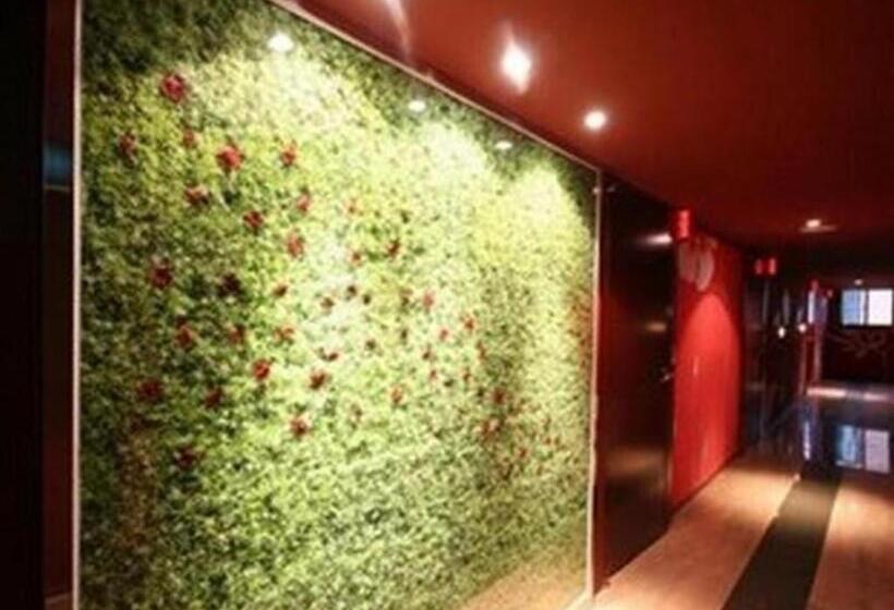 בית מלון כפרי Fox