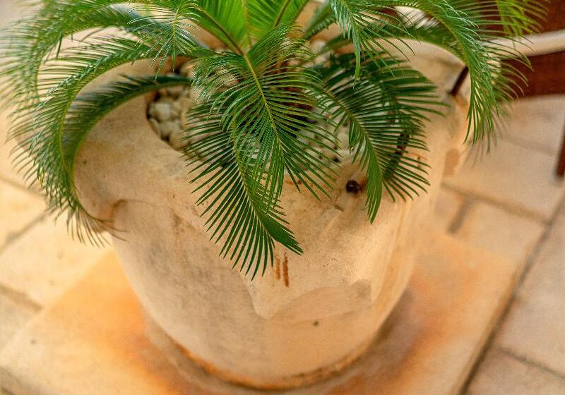 Heritage Hotel Tisno