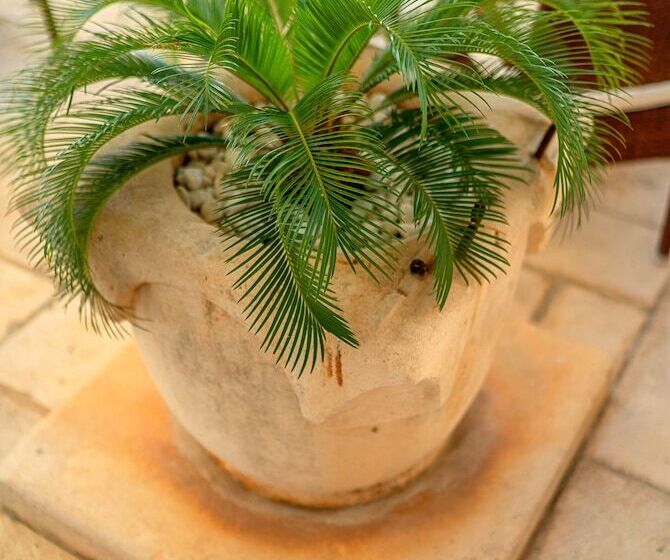 Heritage Hotel Tisno