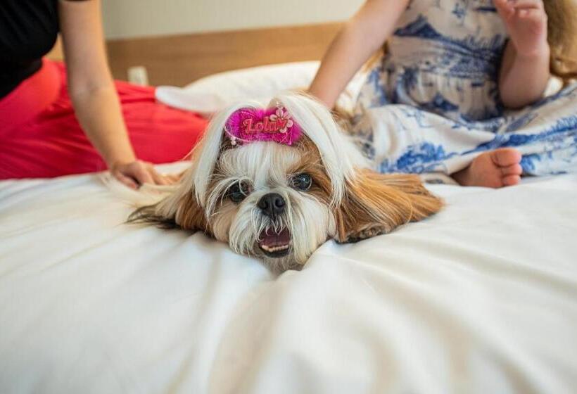 호텔 Ibis Styles Goiânia Shopping Estação