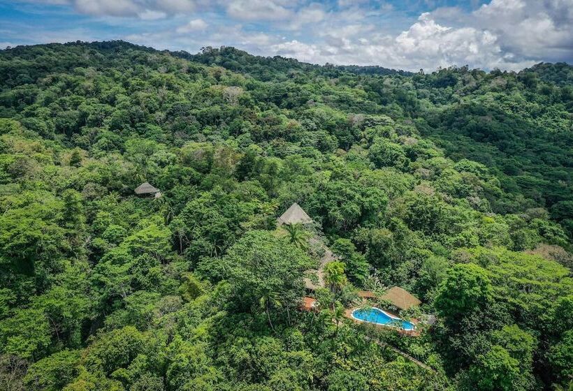 هتل Lapa Rios Lodge By Böëna