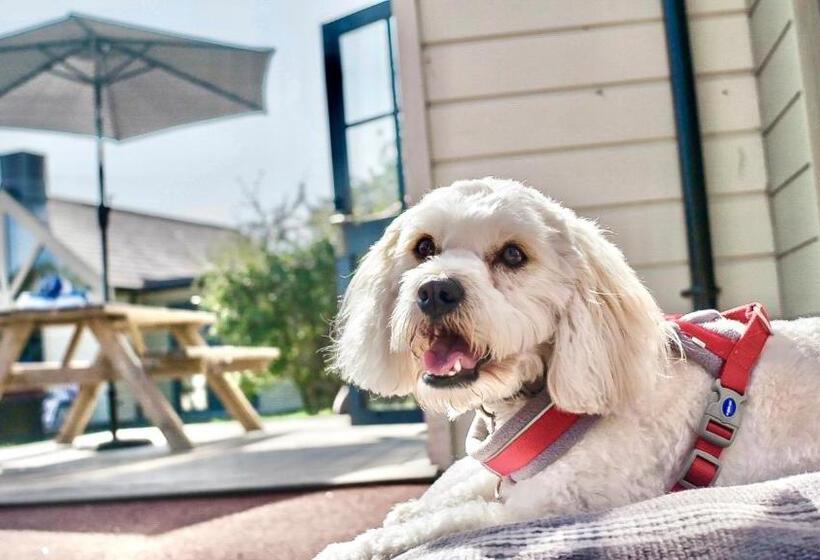 هتل Les Ormes Resort