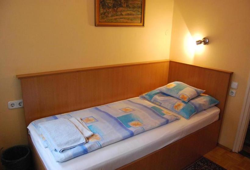 호텔 Mohacsi Guesthouse