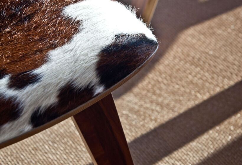 Leonardo Boutique Hotel Mallorca Port Portals   Adults Only