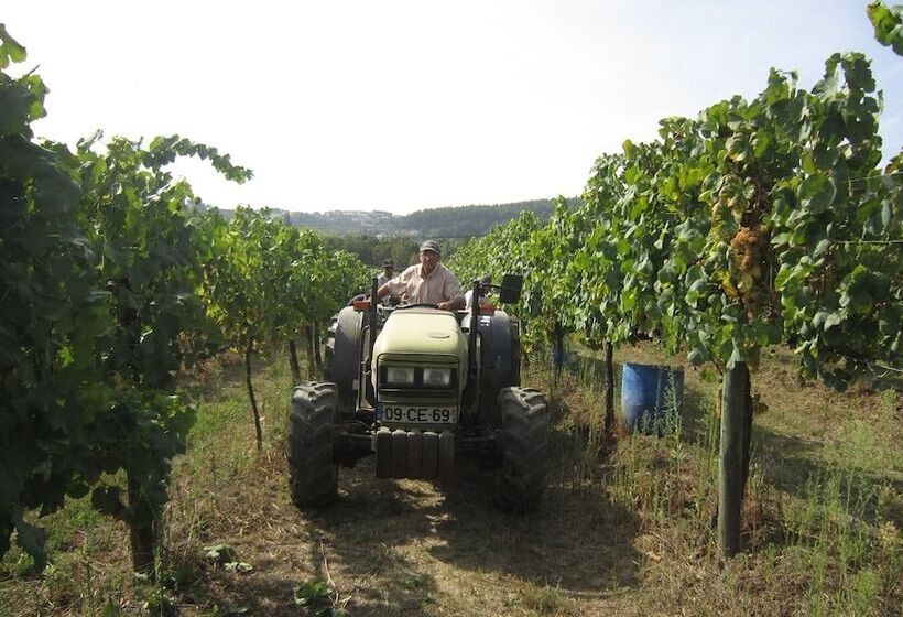 ホテル Paco De Pombeiro Turismo De Habitacao