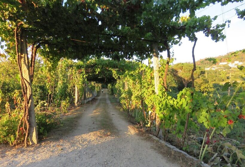 فندق Paco De Pombeiro   Turismo De Habitacao