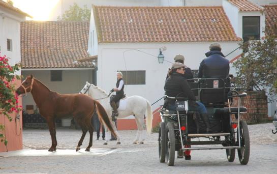 فندق Pátio Da Avó Faustina