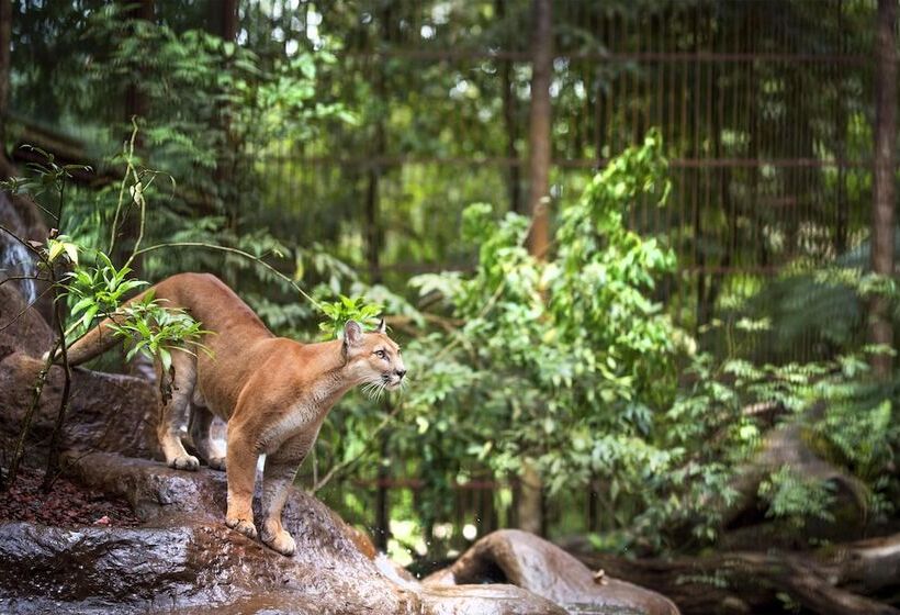 فندق Peace Lodge