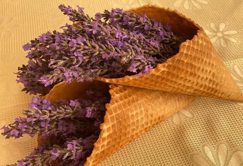 ホテル Plamena Palace