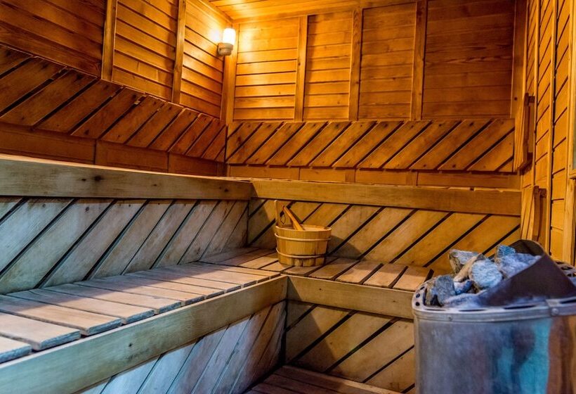 호텔 Predeal Comfort Suites