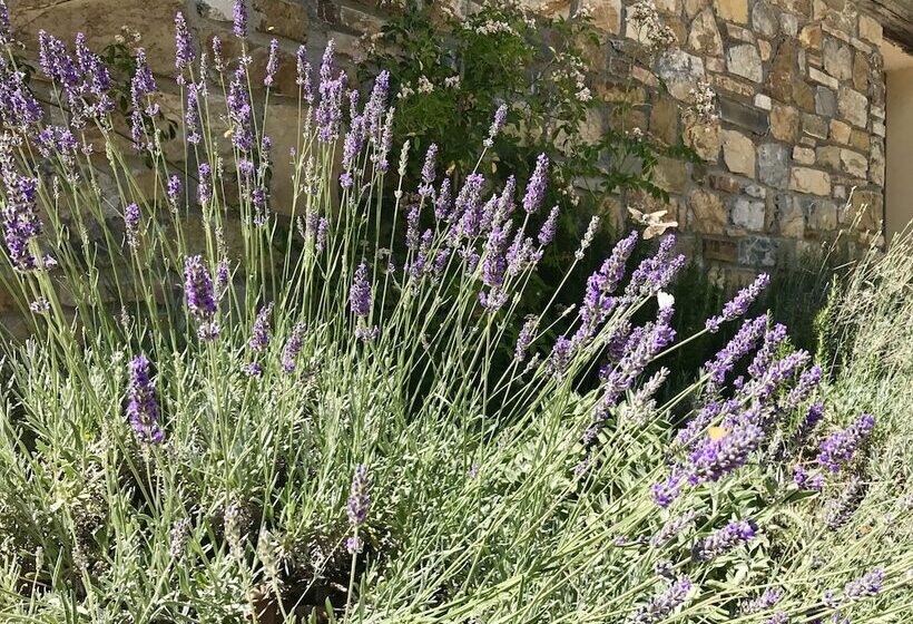 בית מלון כפרי Agriturismo San Ottaviano