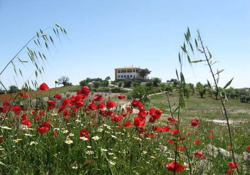 فندق ريفى El Geco Verde