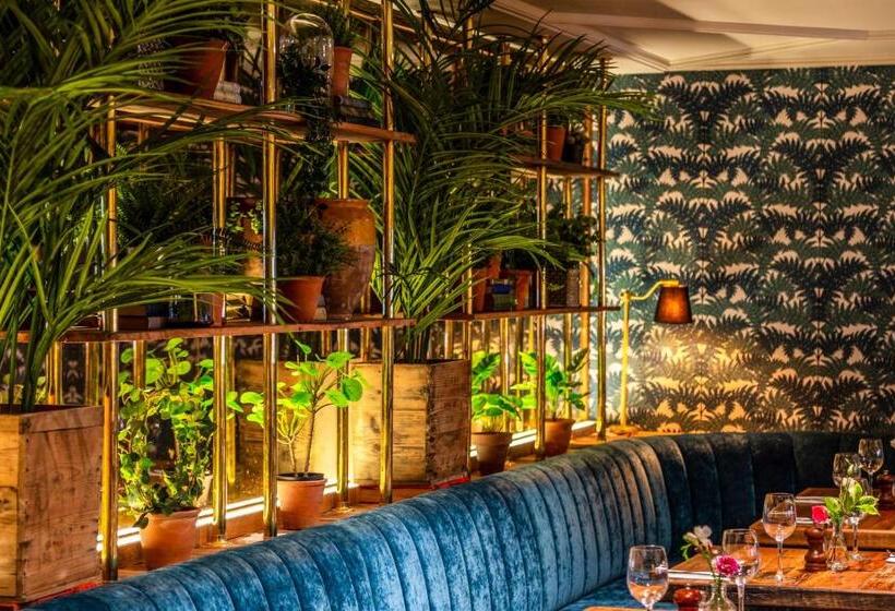 בית מלון כפרי The Ashe