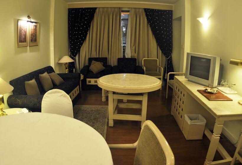 هتل Tuli International