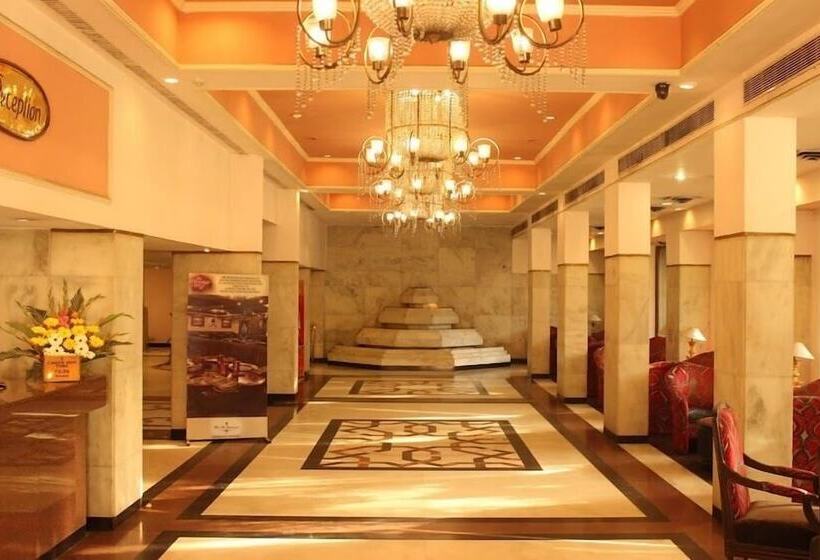 هتل Tuli International