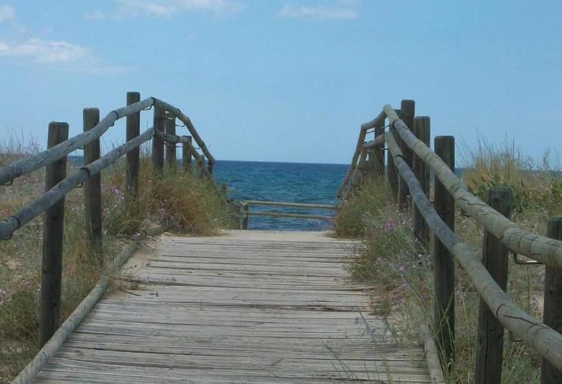 Apartamentos Par Tres   Oliva Nova