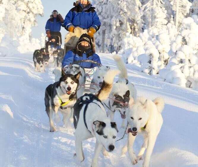 Santa S Hotel Aurora & Igloos