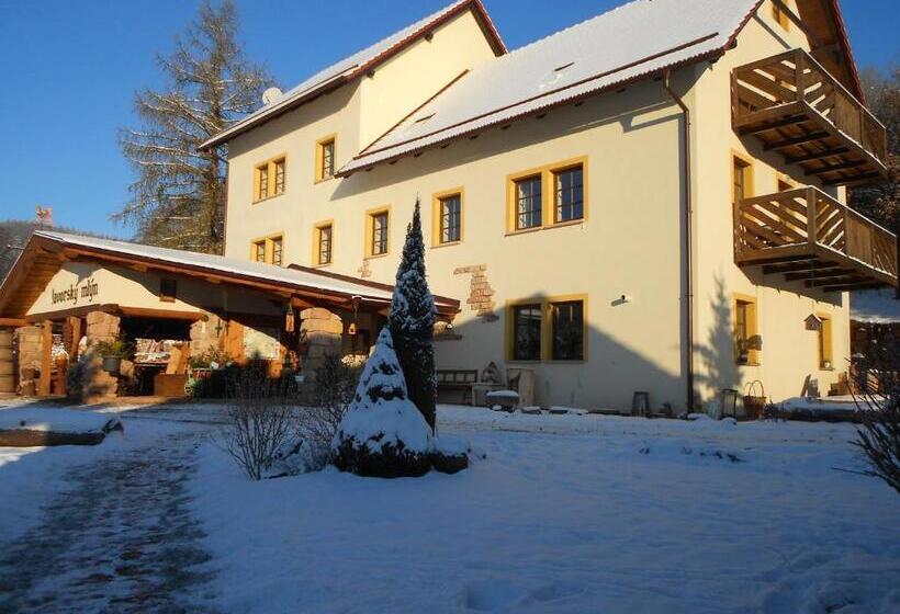 호스텔 Penzion Javorský Mlýn