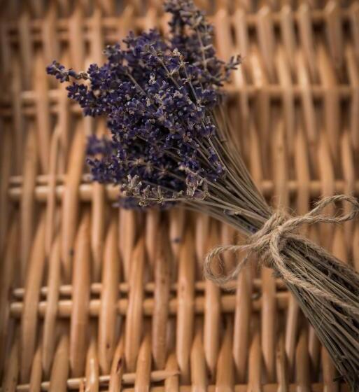 Bed and Breakfast Cherhana Resort