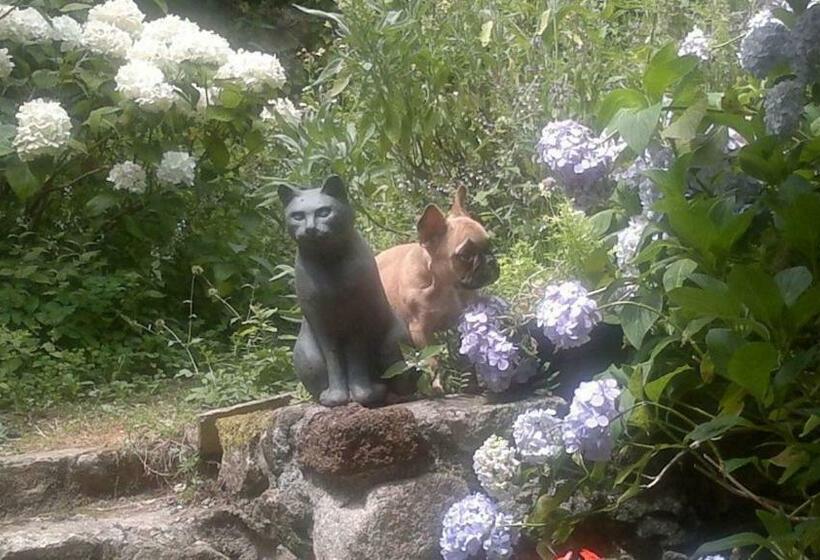 Bed and Breakfast Mas Casta Néa