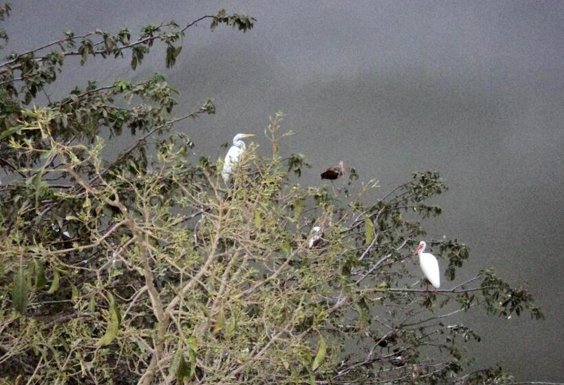 مبيت وإفطار Paradise Lagoon